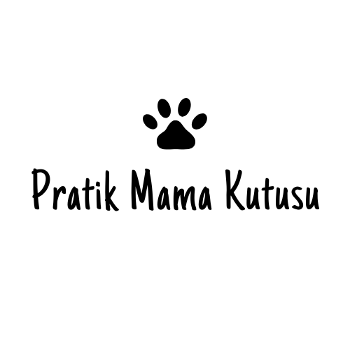 Pratik Mama Kutusu